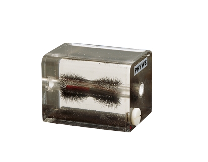 Magnetic-field tracer, 3-dimens.