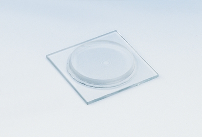 Plate and lens f. Newton rings