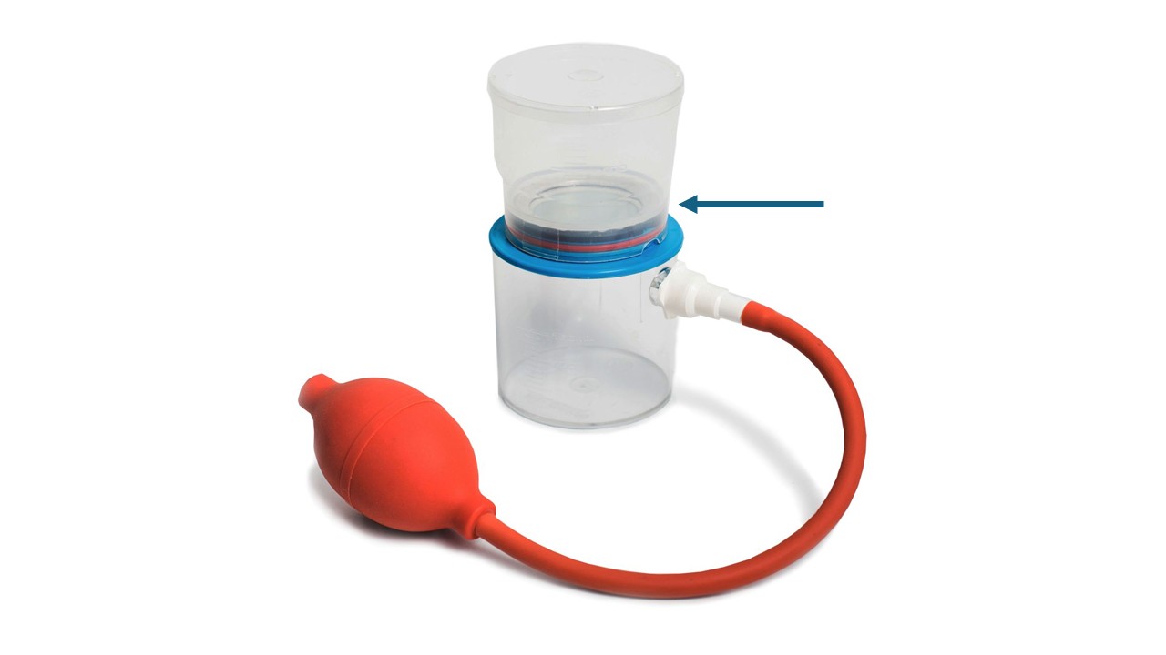 Replacement membrane for heart model, 2 pcs