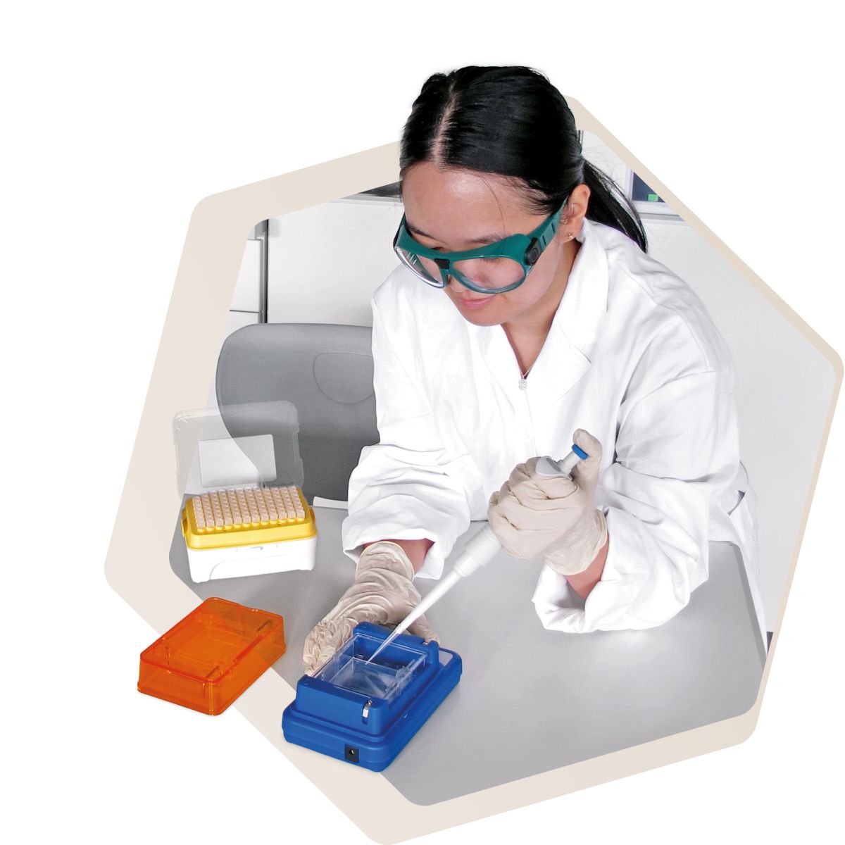 Student set Genetics, TESS advanced Biology