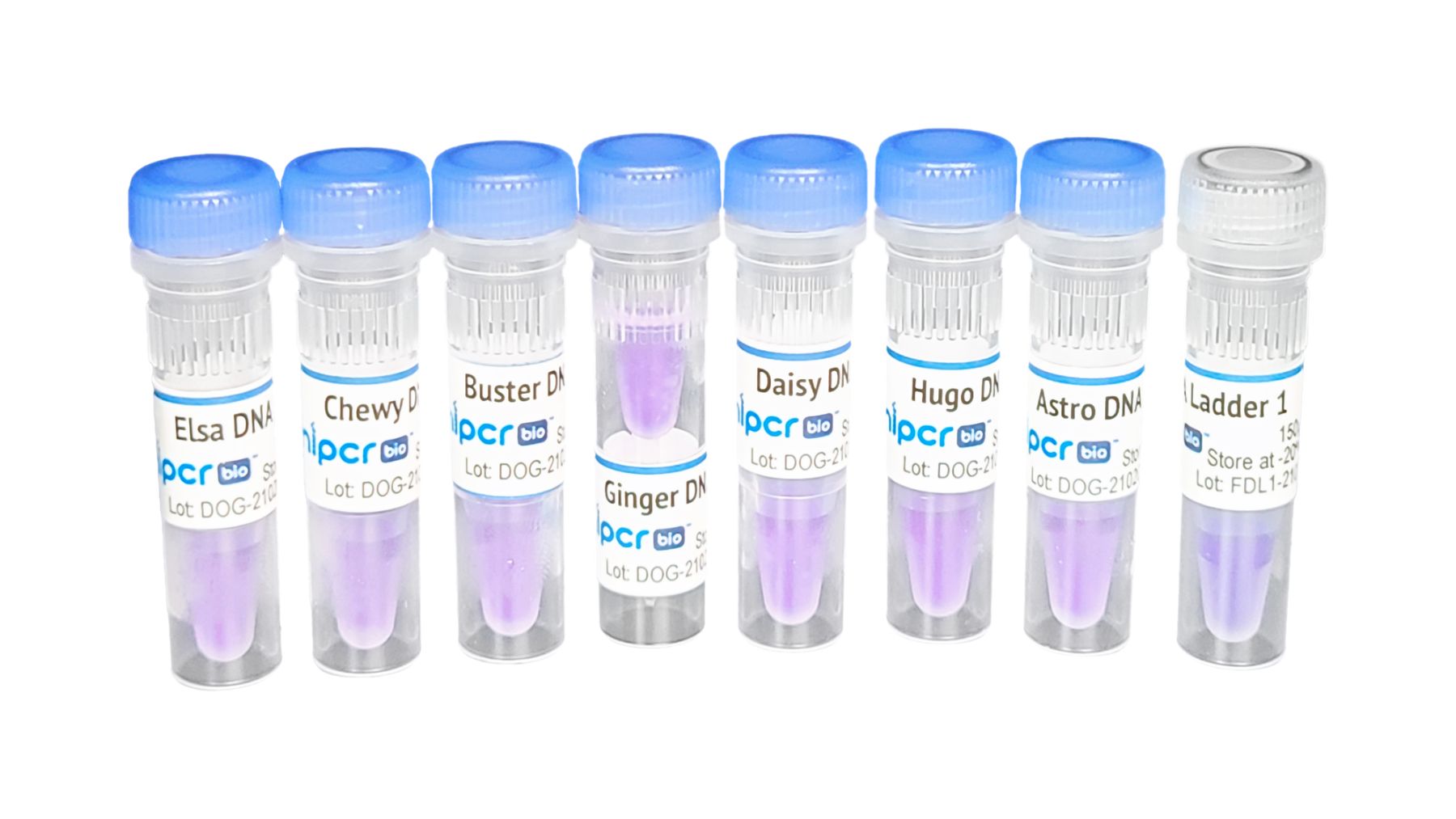 Dog Genetics Lab: Oodles of Labradoodles™