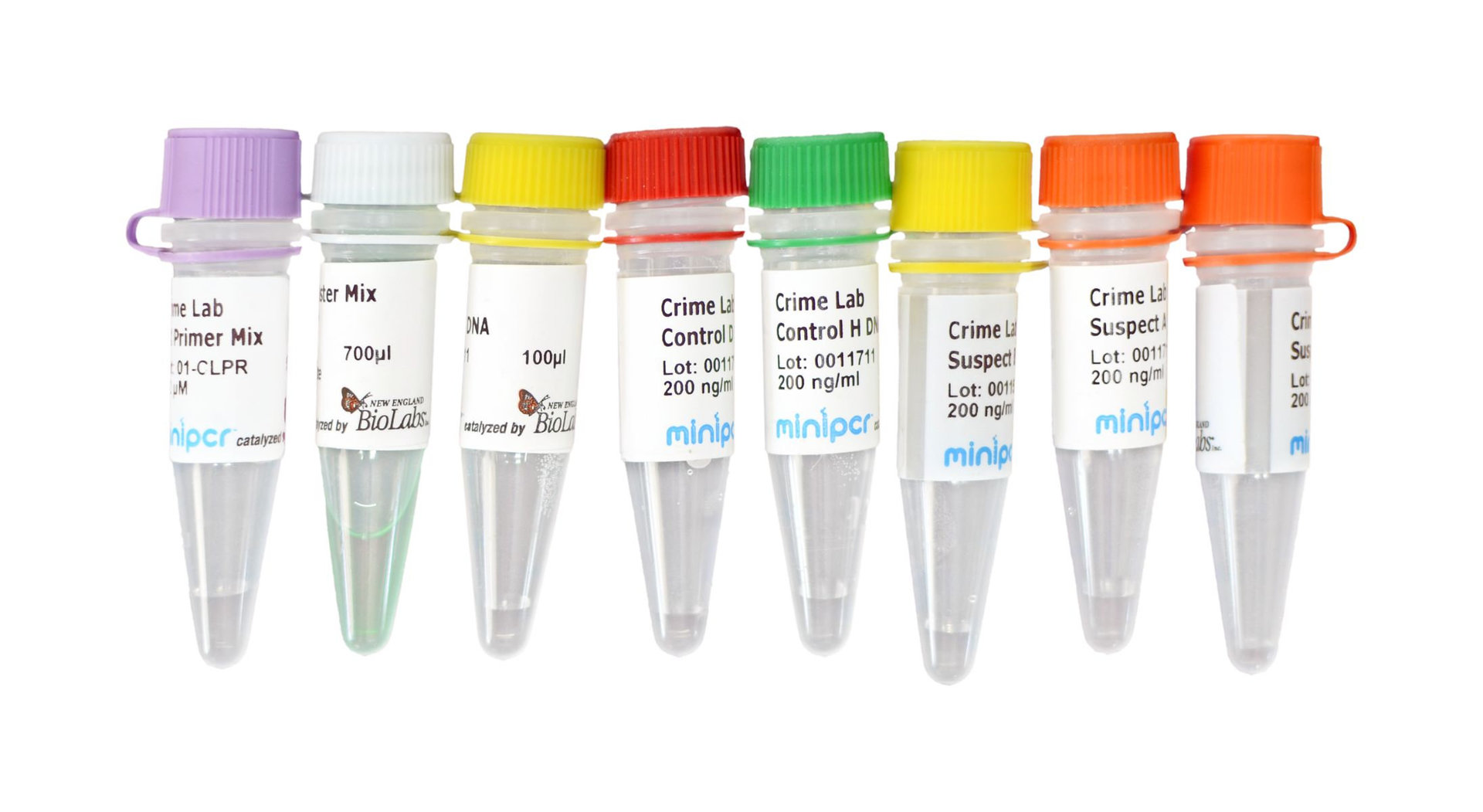 Crime Lab: Missy Baker Missing: Forensic PCR experiment kit
