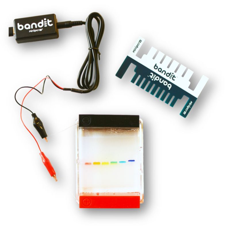 Bandit™ STEM Electrophoresis Kit