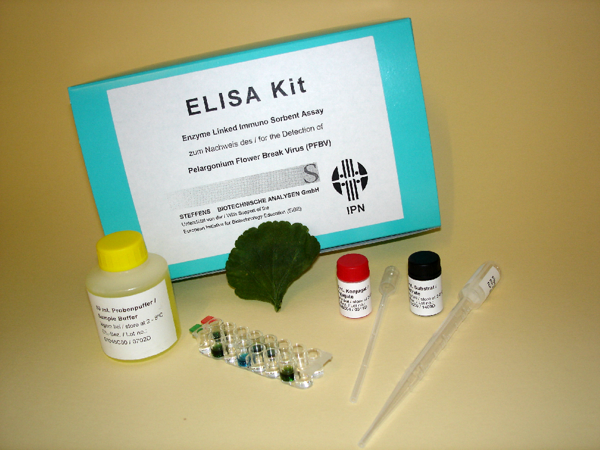 ELISA kit
