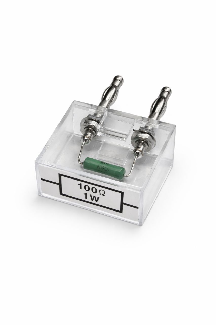 Resistor 100 Ohm, 1W, G1