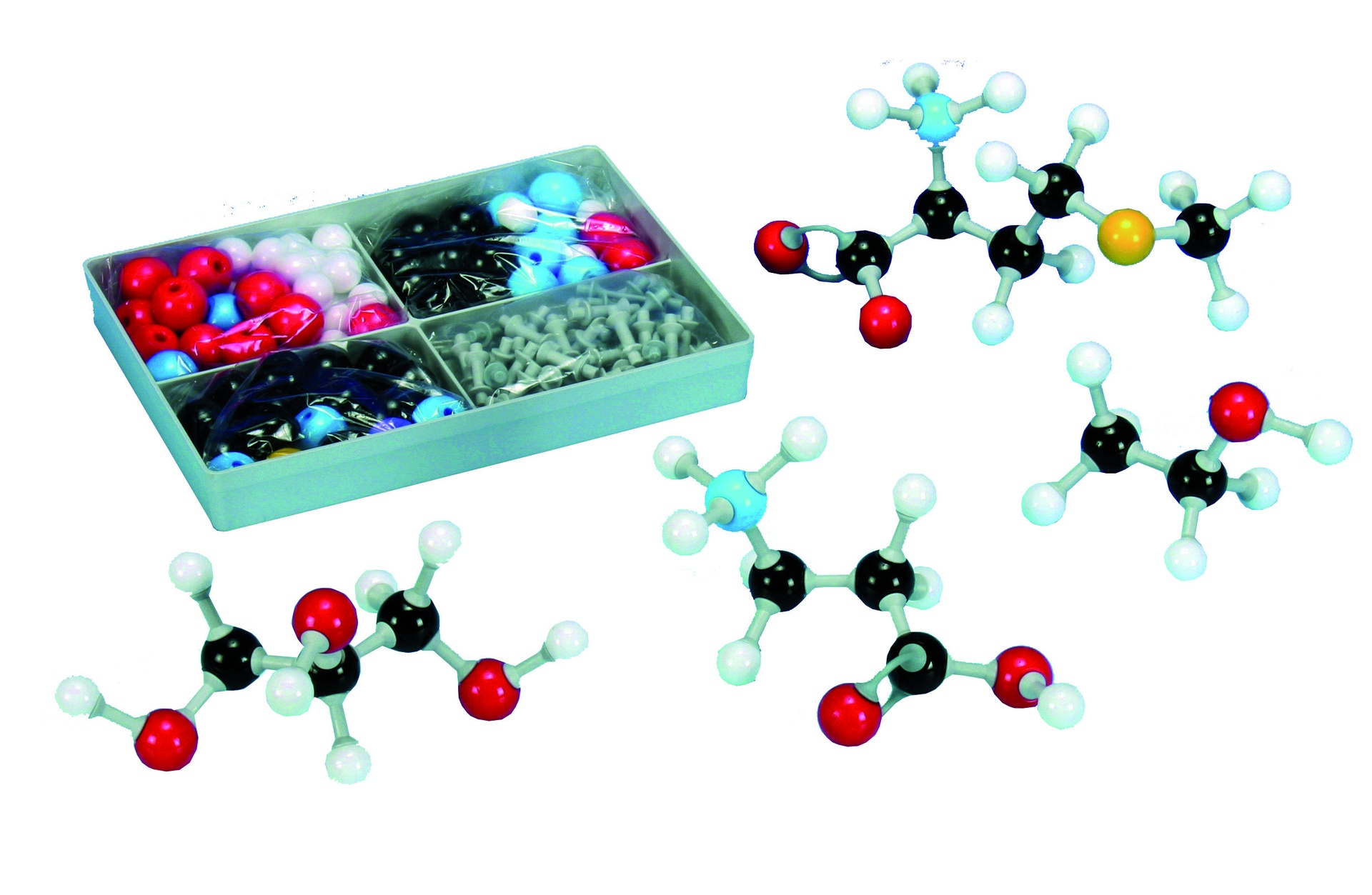Student molecular model construction kit, biochemistry