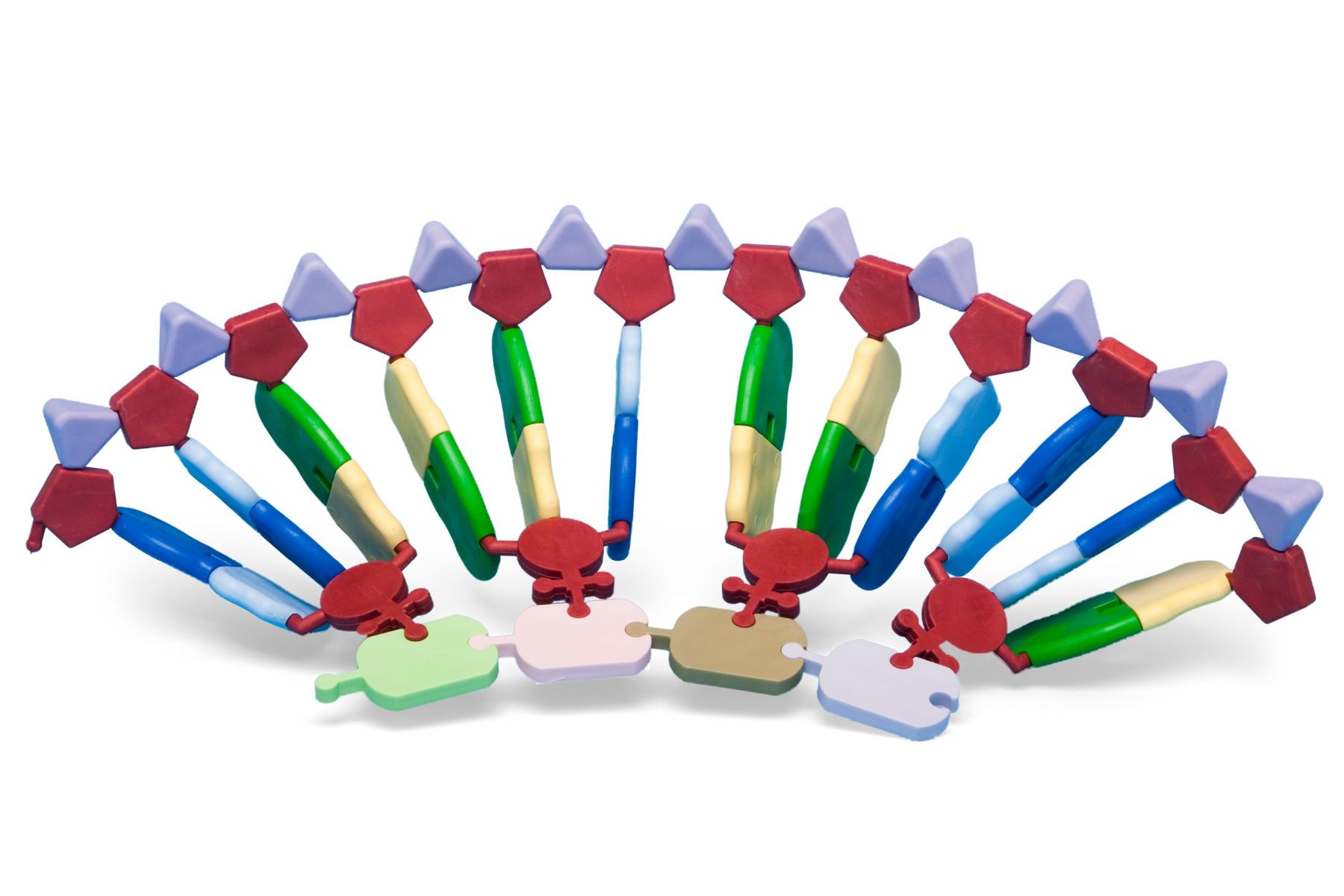 RNA Protein synthesis kit