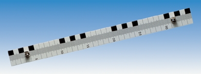 Scale 350 mm