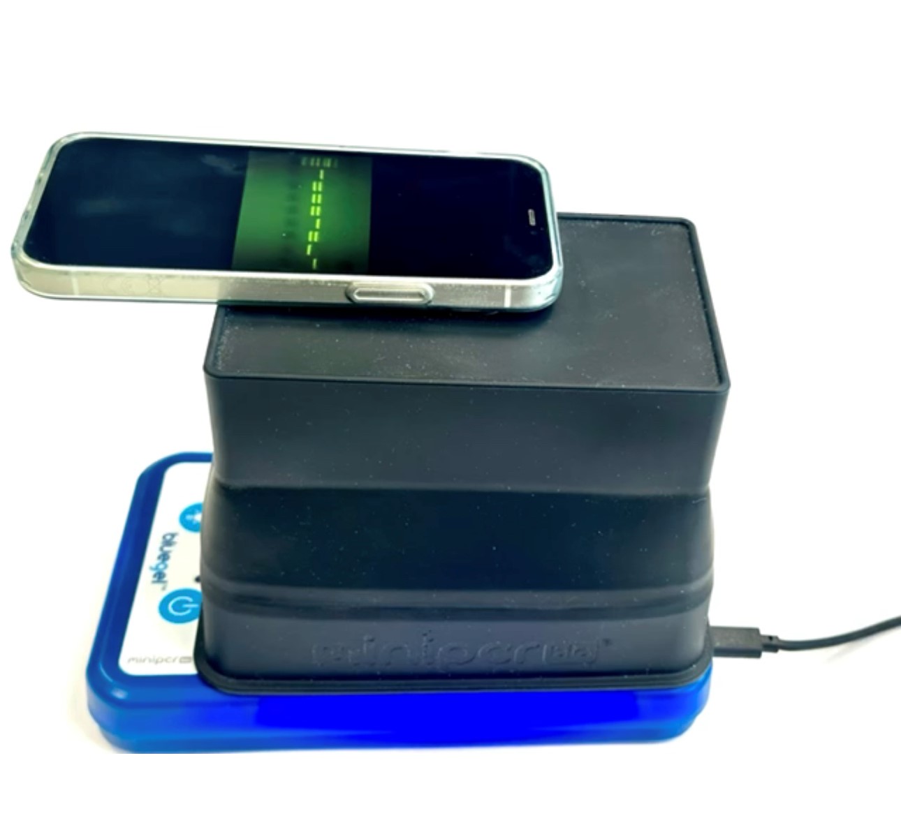 Genetic fingerprinting with the blueGel™ electrophoresis chamber