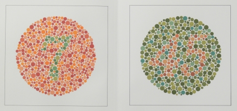 Ishihara test folder for colour sense disorders