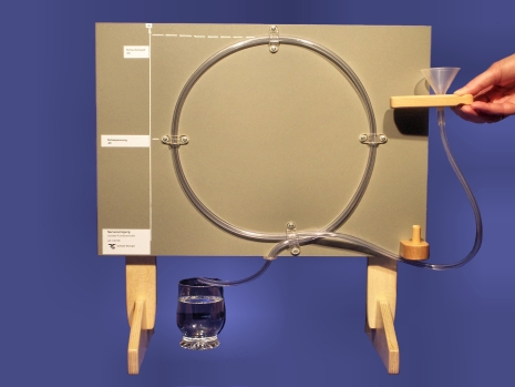Nerve excitation functional model