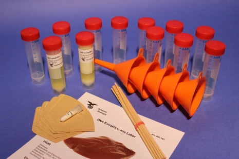 DNA-etraction from liver