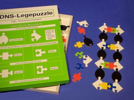 DNA puzzle