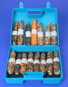 Corncob, biokit