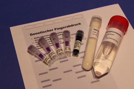 Kit: Forensic DNA Fingerprinting (crime scene)