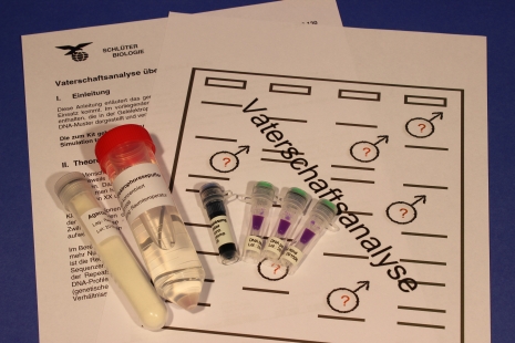 Kit: Paternity test of a DNA profile by gel electrophoresis