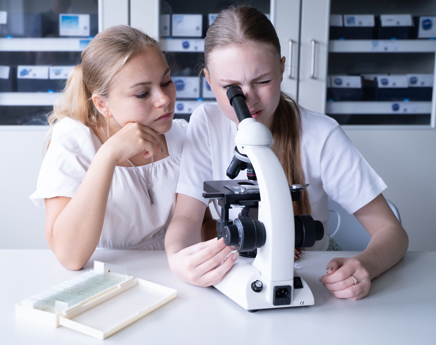 PHYWE Monocular student microscope MIC-110A, 400x, with slide clamps