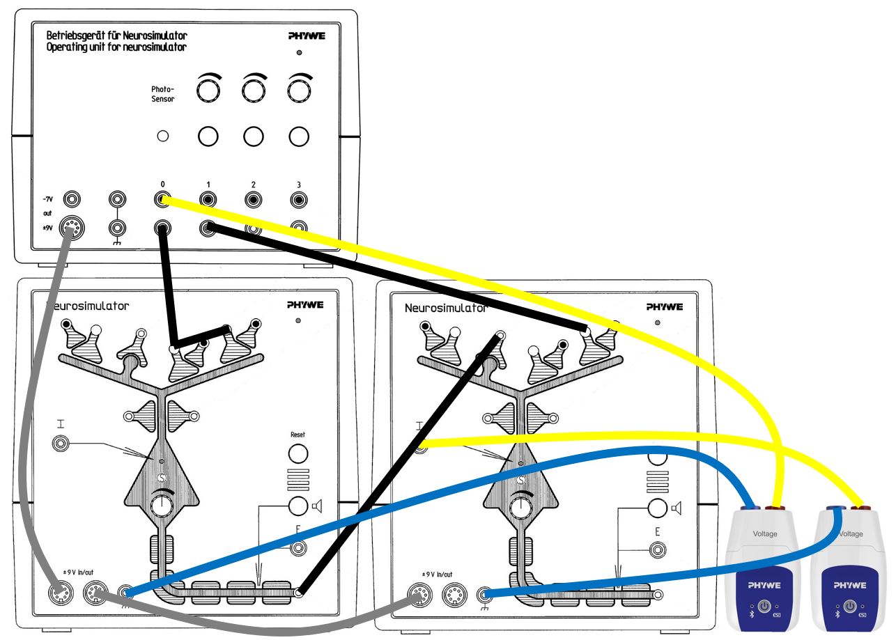 Nerve cell interactions with Cobra SMARTsense
