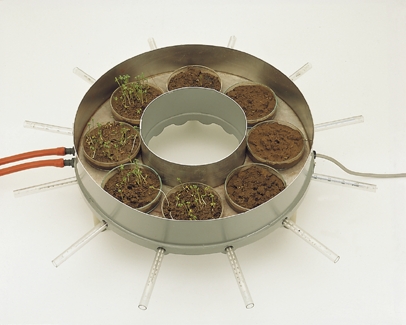 Effect of the soil temperature on the germination and growth of higher plants