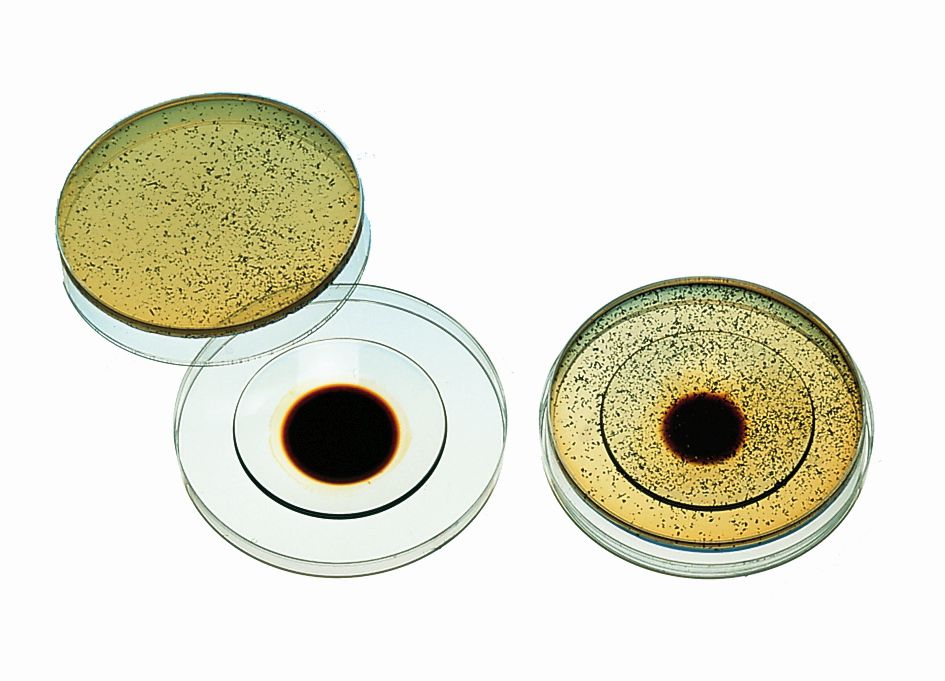 Microbial decomposition of mineral oil