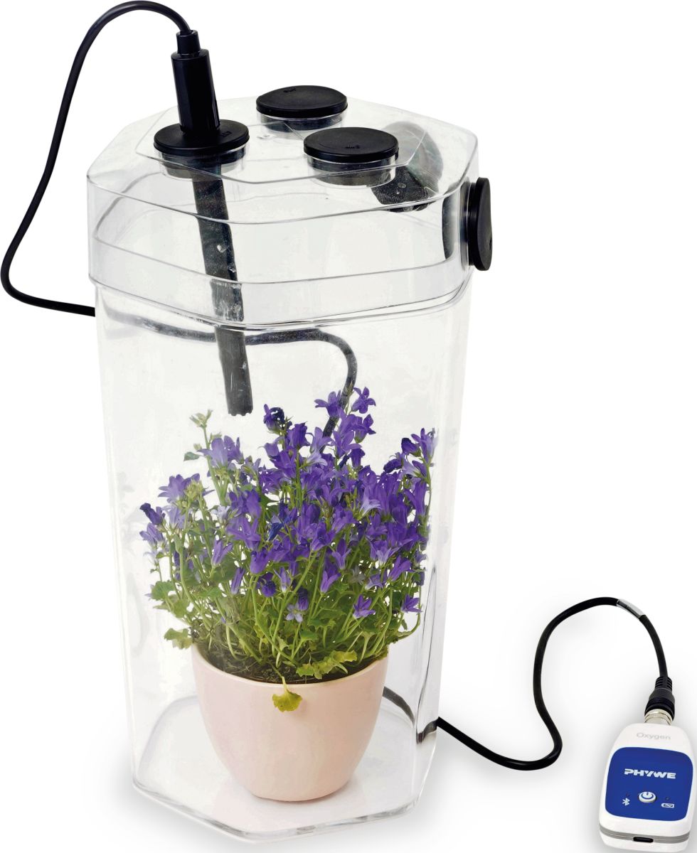 Photosynthesis and cellular respiration in plants with Cobra SMARTsense