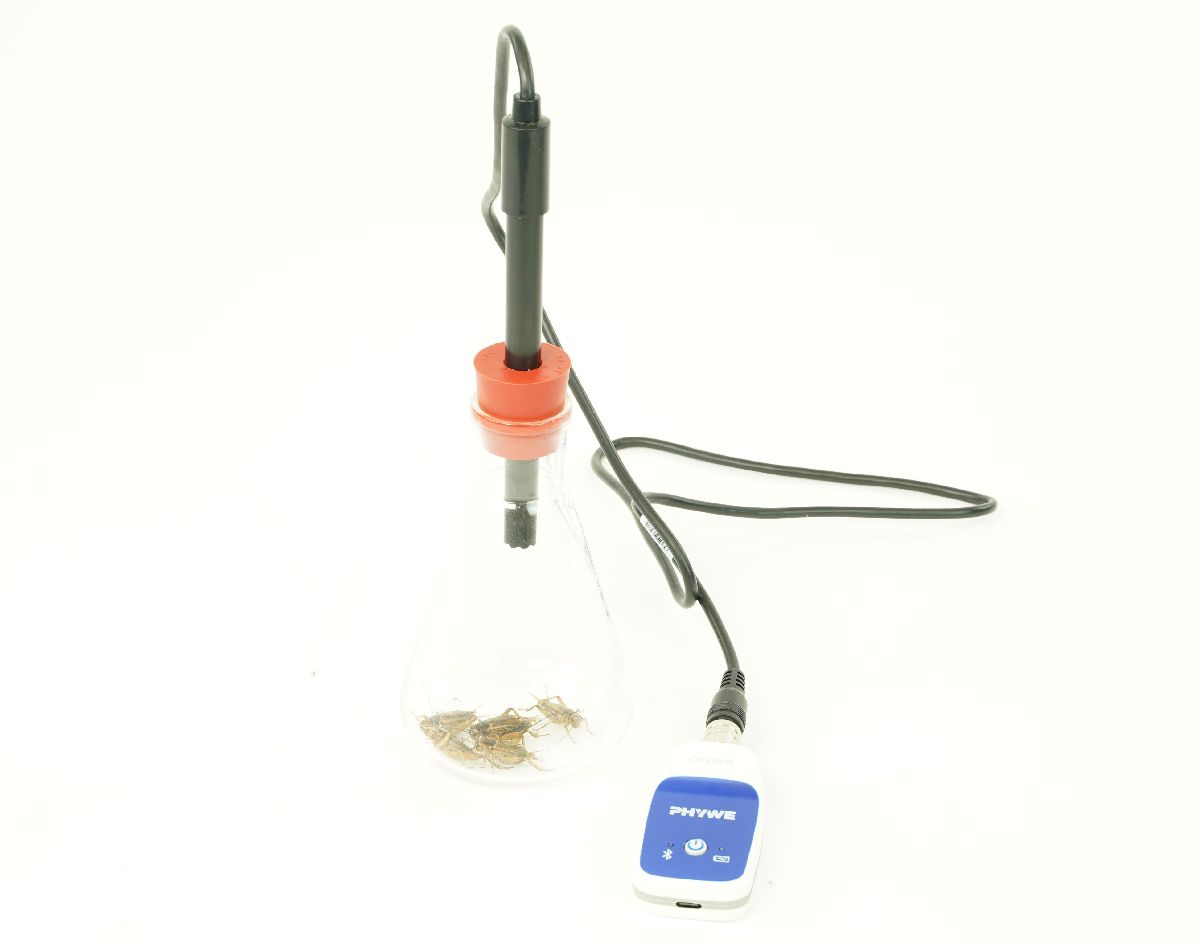 Respiration and metabolism of warm animals with Cobra SMARTsense