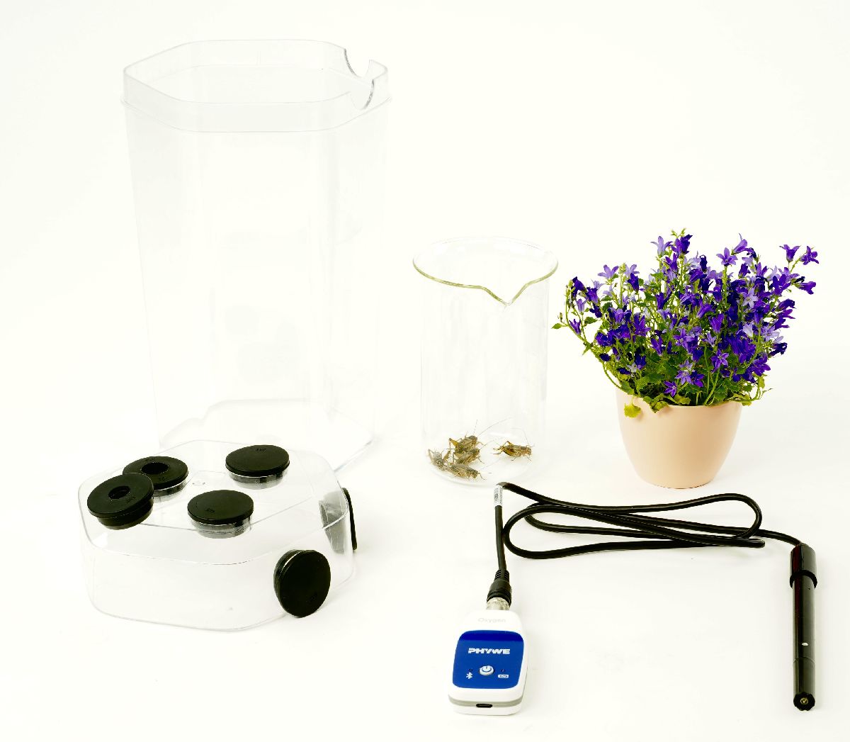 Interaction between plants and animals with Cobra SMARTsense