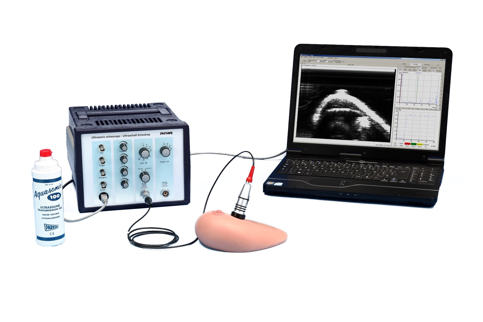 Ultrasonic investigation with breast dummy