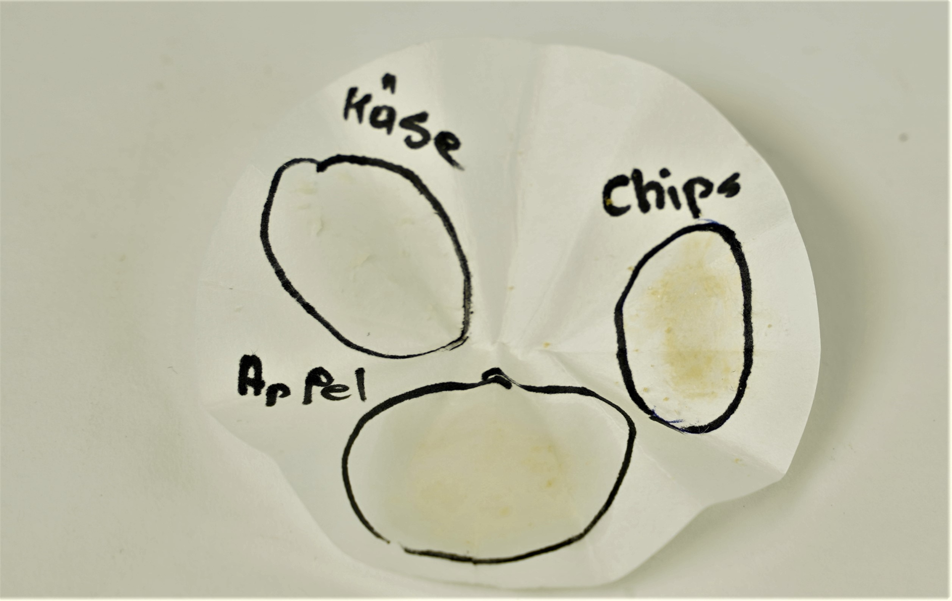 how to detect fat in food?