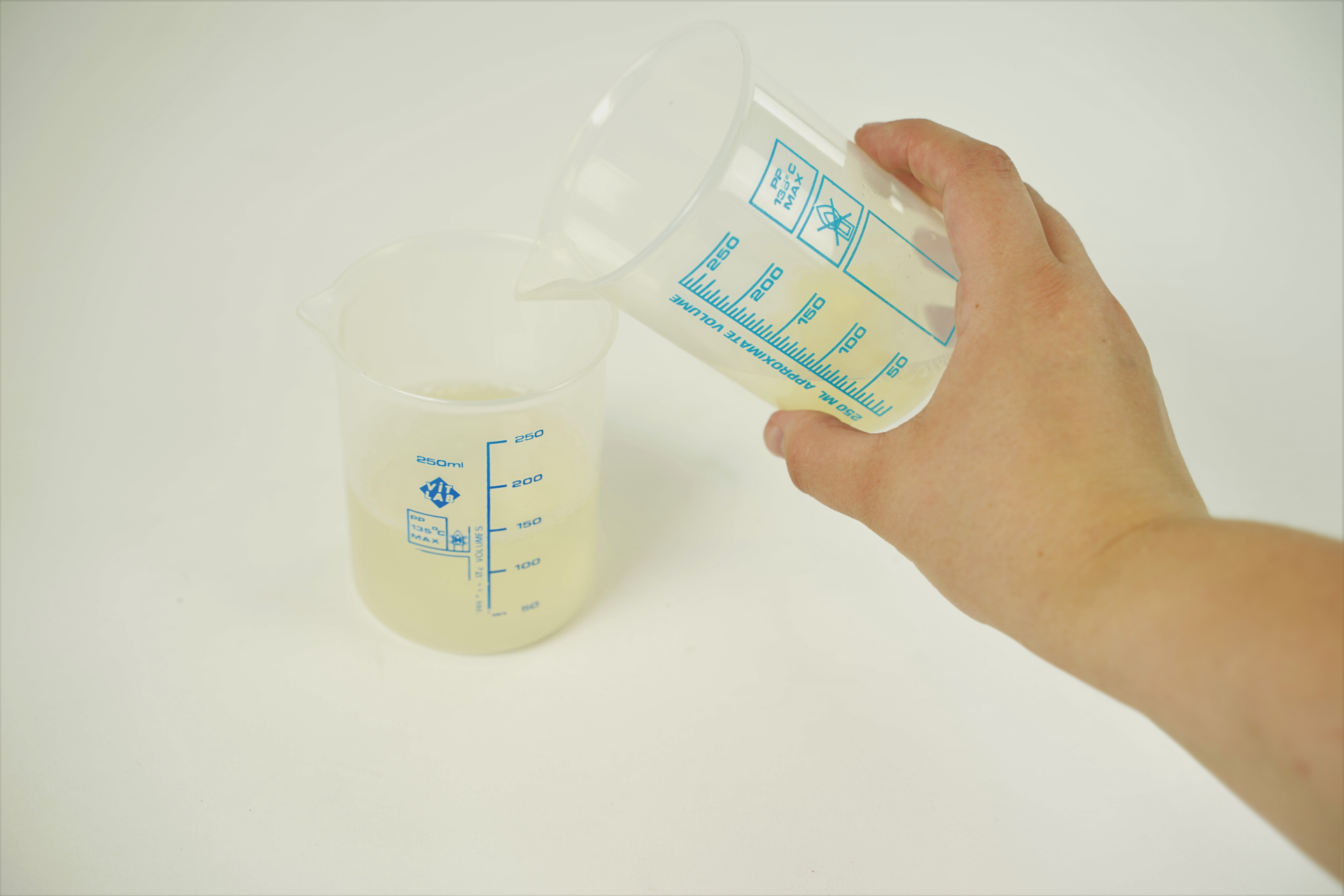 How to produce starch?