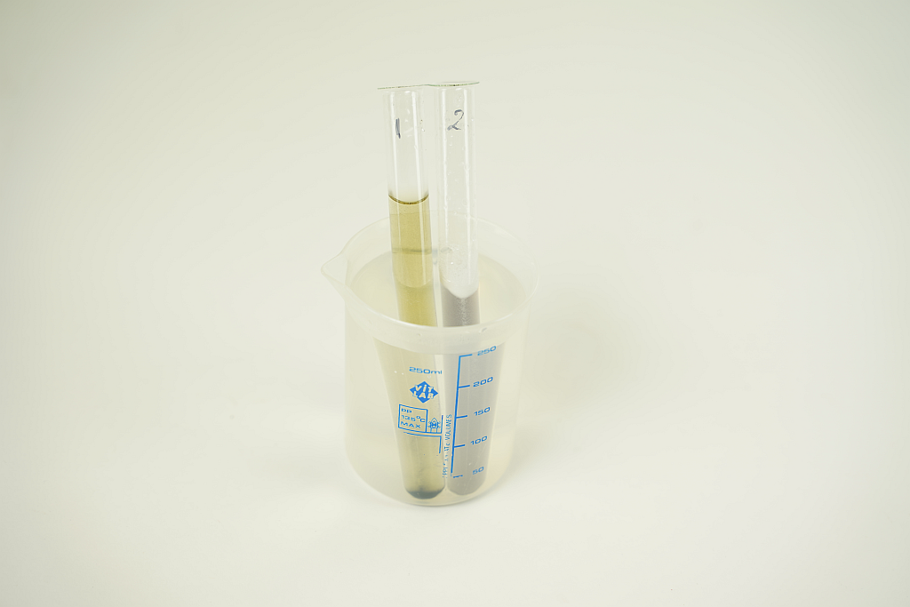 Digestion of starch