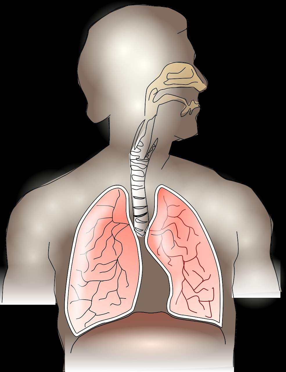 Components of food